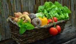 Gemüse dahoam statt Langeweile und Frust – Gardening in der Auszeit