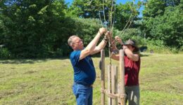 Aktionstag auf der Streuobstwiese Aktionstag auf der Streuobstwiese