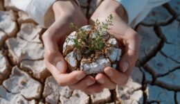 Garten klimafit machen